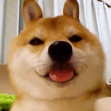 donutquest