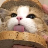 bingzibingzi