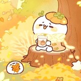 fengshuyingying