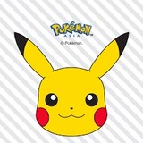 pokemon_vnm