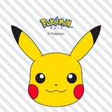 pokemon_vnm