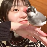 xiaoxiaocarr_wenniao