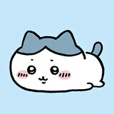 xiaocai0518