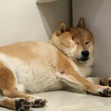 -junij-