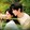 DRAMA&FILM_SUB_INDO