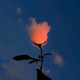 bili_1405369955