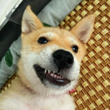 xiaofangyundeqianwan