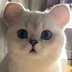 zhuangxiumiao-