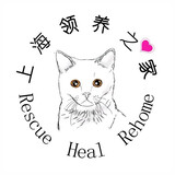 RHRshanghailingyangzhijia