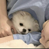 ban___oujungeyema