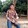 Sabbir Hossain_3029