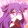 shubunao