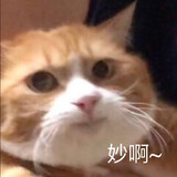 danhuangdey