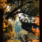 yiyuan-jushi