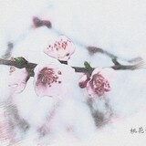 jiejiehexiaopingguo