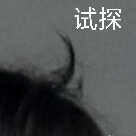 qiweihuahua