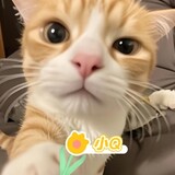 ________iaoq