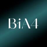 b1a41