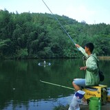 pingediaoyu