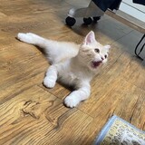 bairimengshiwusuozzz