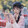 -mengying-