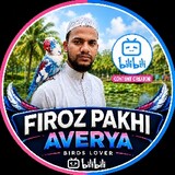 Firoz Ali_3714
