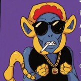 alit monkey