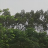 mingnianchunsezhi