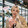 wuyiwen-