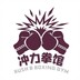 boxingchonglixiaozi