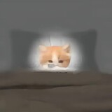 yangyangmc