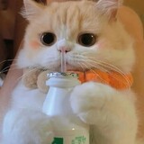 CaptainSnowball__