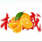 chenziwenzi