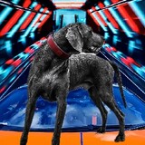 ภูมิพัฒน์ วงศ์ภาสธนบ