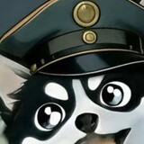 aa_ayv