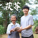 fulingwangzidianxia
