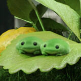 patalote