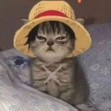 MugiwaranoMiauww
