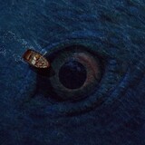 geinipaidebiandangdi