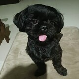 cuttieandneggie