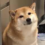 guojam