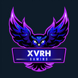 XVRH Gaming