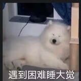 91anyingzhishen