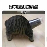 hongyeだ