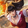 Wolf AOV