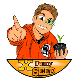 Donnyxseed