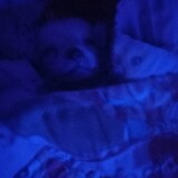 rip_my_dog_10/6/2022