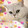miaocaishidengpao_