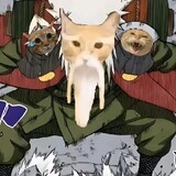 zizaisuixing1