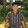 CarlJames Gallardo
